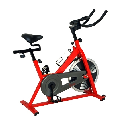 indoor cycling bike sunny